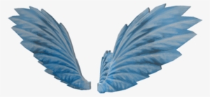 Winged Png Free Hd Winged Transparent Image Page 6 Pngkit - fallen angel wings roblox