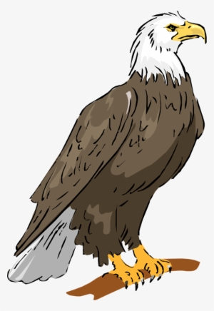 Costume Clipart Duck - Eagle Clipart