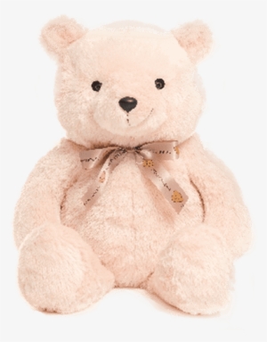 A Caring Companion - Teddy Bear