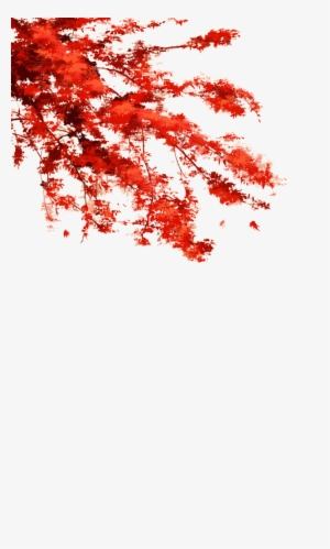 红色花枝5