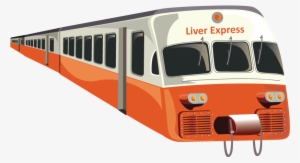 Journey Of A Bilirubin 02 Train - Train