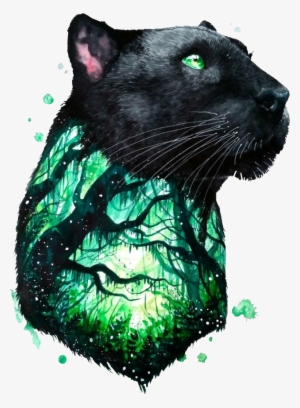 Report Abuse - Pantera Negra Animal Dibujo