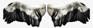 Angel Wings Png Stock Image Free - Stock Photography