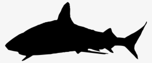Free Download - Shark Silhouette Png
