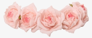 Transparent Flower Crown Png - Pink Flower Crown Transparent