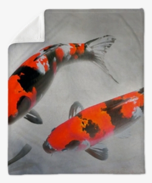 Calico Koi Fish Watercolor Illustration Plush Blanket - Pez Koi Rojo Real