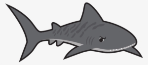 Norwood Swim School - Shark