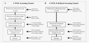 Original Funnel Developed By A•wol - Hts Funnel Screening