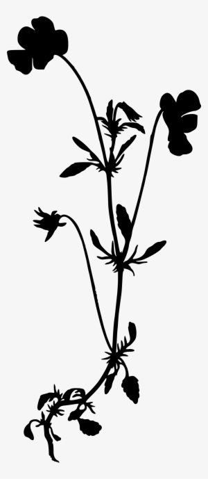 Heartsease Jpg Freeuse - Wild Flower Silhouette Png