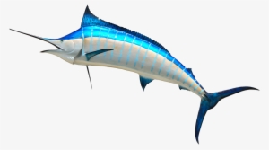 See Here Cartoon Fish Transparent Background - Marlin Png