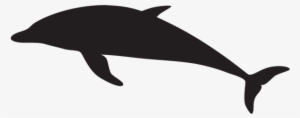 0, - Dolphin Silhouette Png
