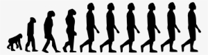 Evolution Of Human Walking - Humans Evolving