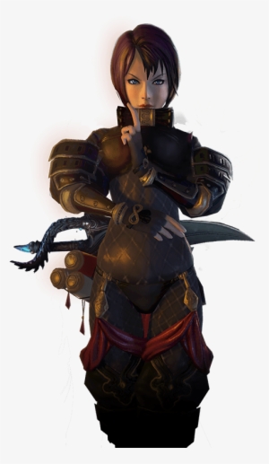 Assassin Assassin - Bns Assassin Class