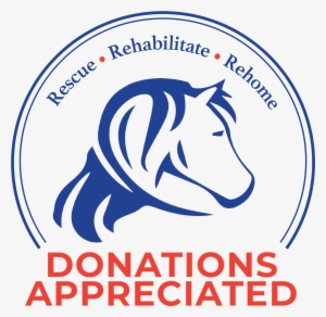 Circular Horse Logo For New England-based Equine Rescue - Ifc Jonfosse