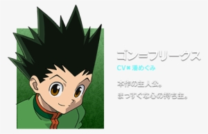 Freecss, Gon - Gon Freecss