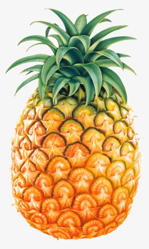 Descargar - Pineapple Png
