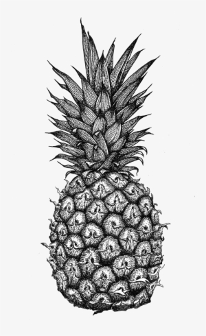 Pineapple Drawing Pattern - Mandala Pineapple