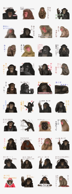 Okuda Monkey's Real Name Sticker - Gorilla