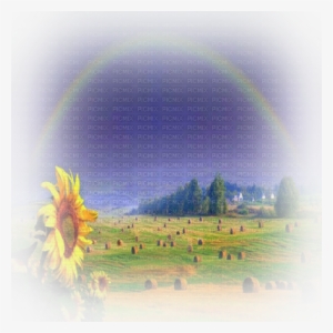 Tournesol Paysage Sunflower Landscape - Tubes Paysage D Été Png