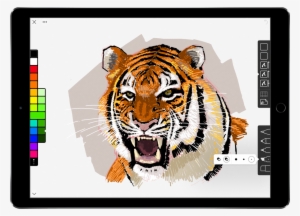 An Elegant Sketching App For The Ipad From The Iconfactory - Siberian Tiger