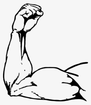 A Good Workout For Forearms - Muscle Arm Drawing Png