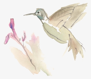 Hummingbird Watercolor - Stork