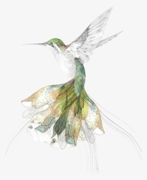 Hand Painted Hummingbird Transparent Decorative
