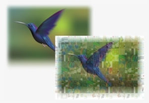 Corel Designer Help - Photococktail Coreldraw