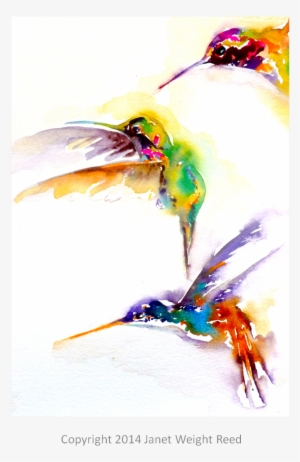 "three On A Mission" Hummingbird Print By Janet Weight - Hummingbird