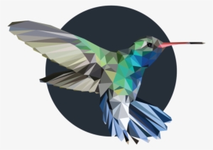 Hummingbird