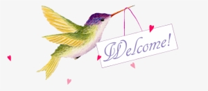 Welcome To Laura Trayser Designs - Children's Literature