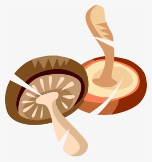 Vector Illustration Of Edible Mushroom Or Toadstool - Illustration