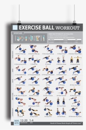 The Swiss Ball Are One Of The Best Fitness Tools You - Home Workout Exercise Ball