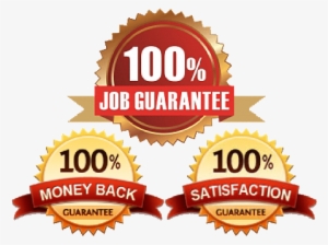 Job Search, Placement And Support - Money Back Guarantee