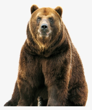 Bear Free Png Image - Claimed By The Bear Ebook