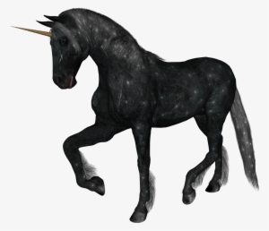 Unicorn - White Unicorns White Background