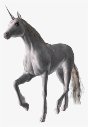 Share This Image - Horse