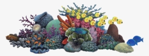 Oa-28 - Coral Reef Clipart
