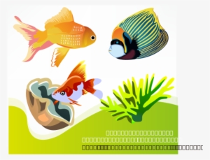 This Free Clipart Png Design Of Free Vector Fish - Sea Animal Worksheets In French