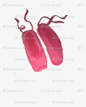 Ballet Slippers - Earrings