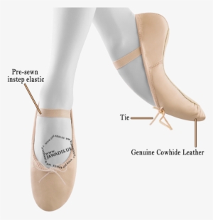 Ladies Dancing Shoes - Ballet Flat