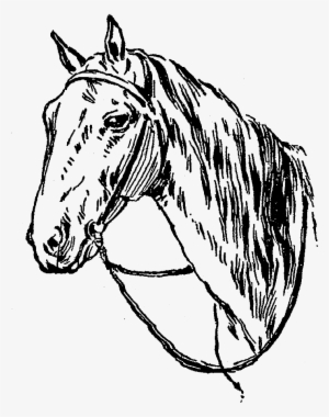 Digital Horse Clip Art - Mane