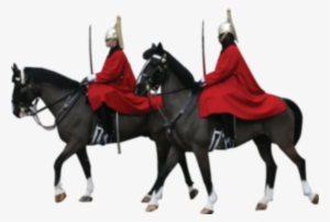 Horseguard - Stallion