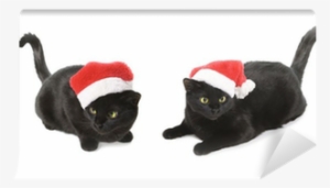 Black Cat Santa - Cat
