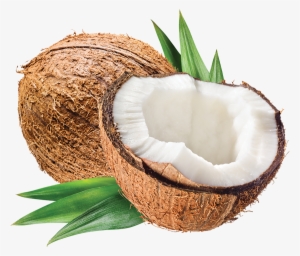 Our Coconut Story - Coconut Stock