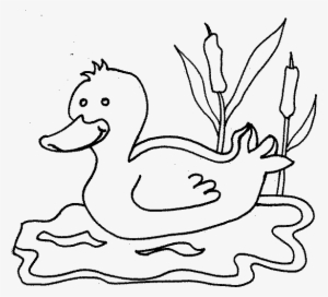 Farm Animal Coloring Animal Clipart Animals Colouring