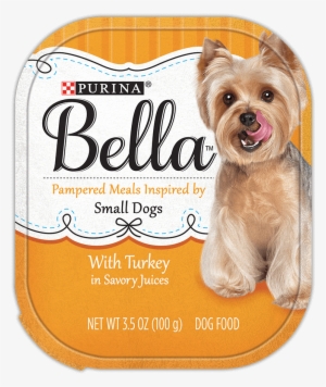 Bella For Small Dogs