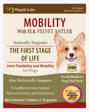 Mobility Supplement For Dogs - Wapiti Labs Senior Mobility Trial Pack - Large Dog