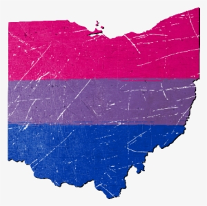 Ohio Silhouette Bisexual Pride Flag - Map Of Ohio