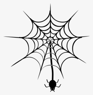 Spider Hanging Of Web Comments - Tela De Araña Png
